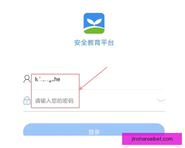 金沙平台登录入口全新升级体验安全便捷畅享多功能服务